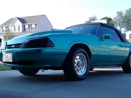 DSCF2217.webp