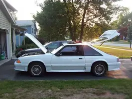 6gx2wrb.webp