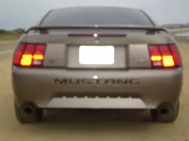 rearsemiblurrynx3.webp