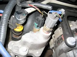 PImotor013.webp