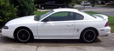 blackrims1.webp
