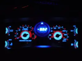 mustang4017.webp