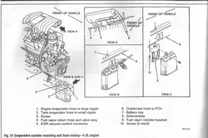 vaporcannisterconnectionsfoxbody.webp