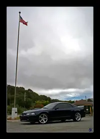 TallFlag1.webp