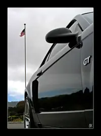 Reflection1.webp