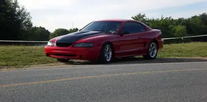 Stang2.webp