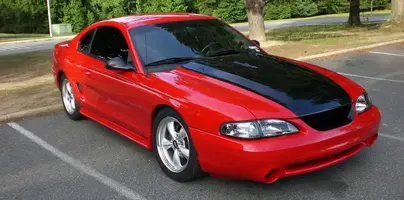 Stang13.webp