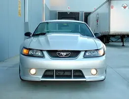 Mustang6-18-07028.webp
