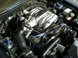DSCN5309.webp