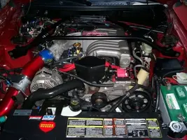 7-21-06005.webp