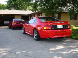Mustangmay003.webp