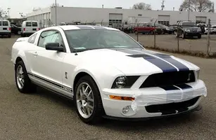 stangnet_gt500.webp