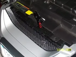 CobraGrille8.webp