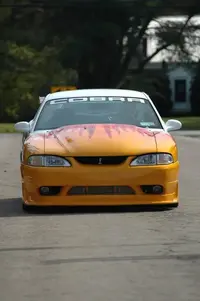 DSC_7162.webp