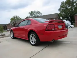 reddragon006.webp