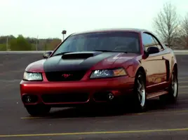 Picture222-1.webp