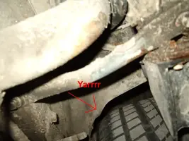 IMGP1903.webp