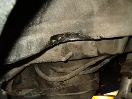 IMGP1905.webp