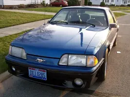 Stang.webp