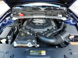 DSCN1668.webp