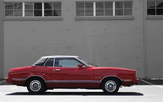 Mustang3.webp