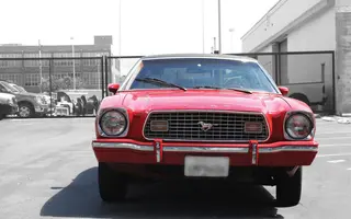 Mustang4.webp