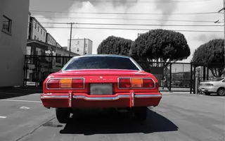 Mustang5.webp