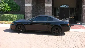 Cobra 01 -07.webp