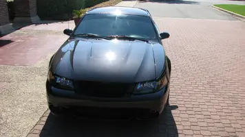 Cobra 01 -09.webp
