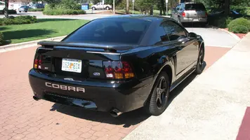 Cobra 01 -12.webp