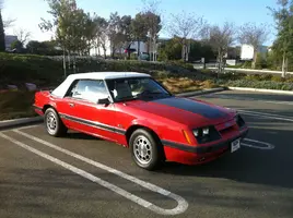 Mustang.webp