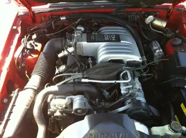 photo.webp