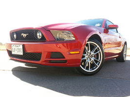 Mustang.webp