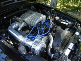 Py photos 93 stang gt 007.webp