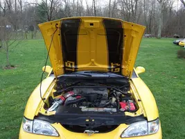 03-25-07%20001.webp