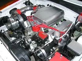 3.webp
