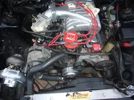 Picture094.webp