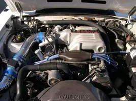 DSCN0162.webp