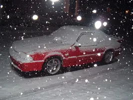Snow1-9-07008.webp