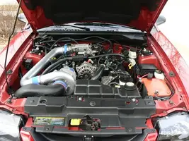 smallp1000288cc7.webp