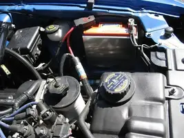 Stang006Large.webp