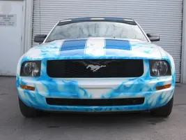 paintedfront.webp