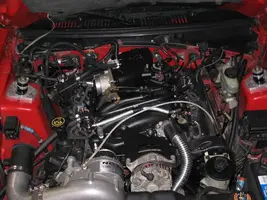 423320564_62ce67c12b_o.webp