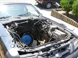 DSCN2080.webp