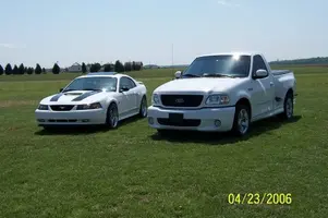 100_1251.webp