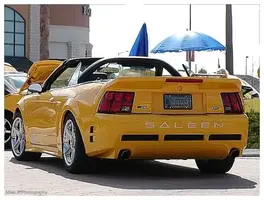 yellowsaleen.webp