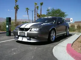 shelbytribute2.webp