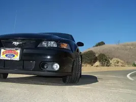 Stang_02.webp