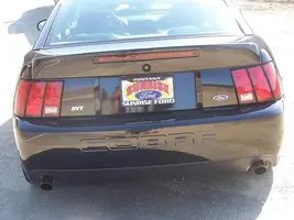 Stang_11.webp