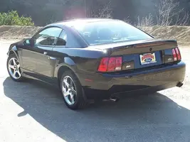 Stang_10.webp